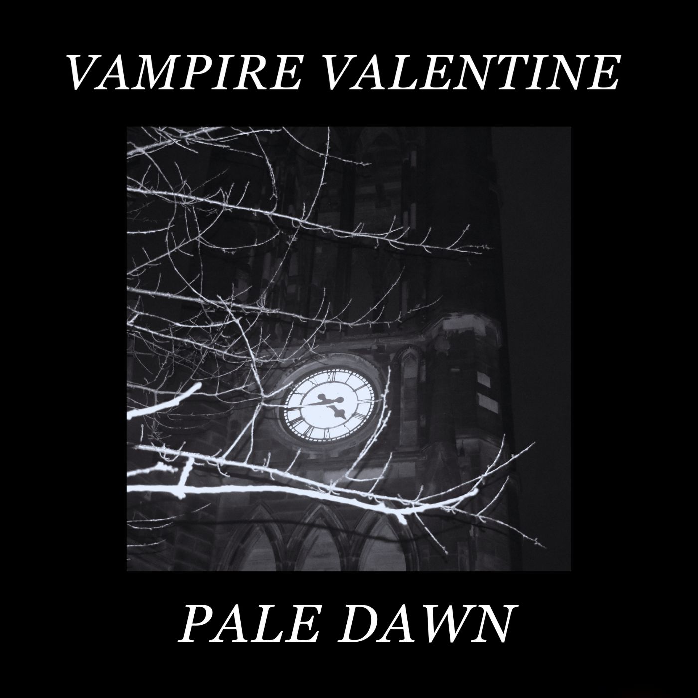 PALE-DAWN-COVER